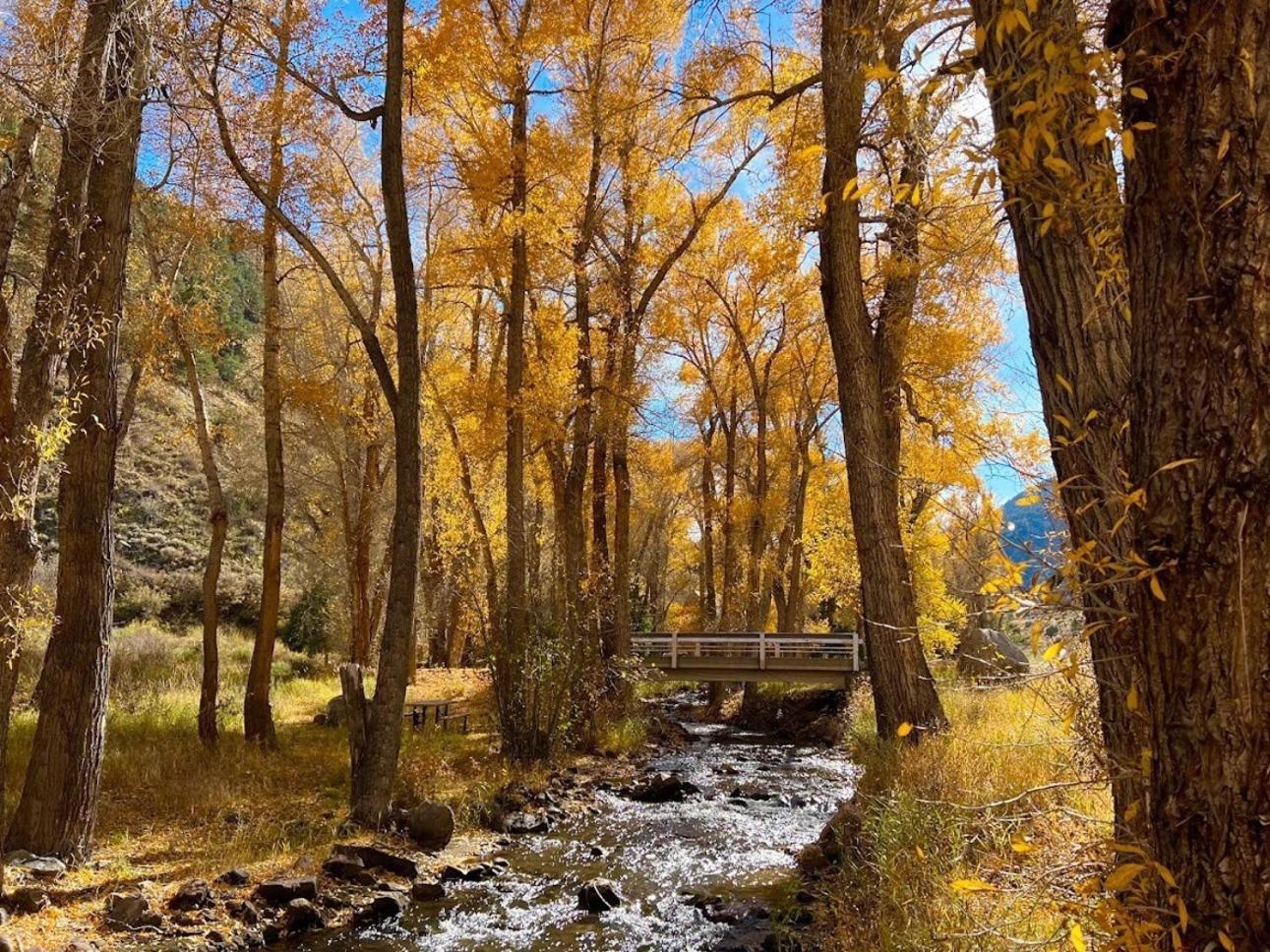 Poncha Creek Mountain Lodge, Near Monarch Mtn ساليدا المظهر الخارجي الصورة